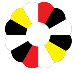 BCC-24 Parachute